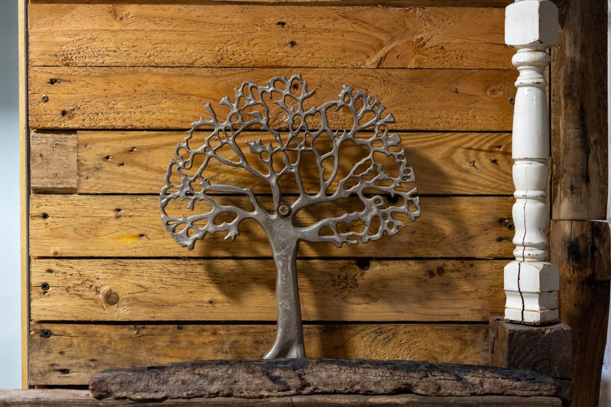 Il Giardino Di Chiara Bed & Breakfast Oristano Dış mekan fotoğraf